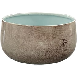 Robert Allen 5 in. D Steel Mini Bella Bowl Planter Spearmint