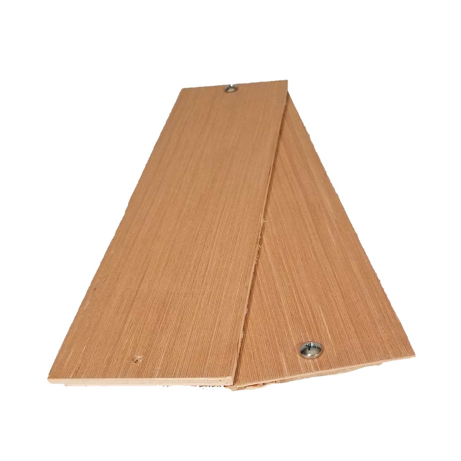 Drop In The Bucket Medium Multiple Catch Animal Trap For Mouse 1 pk