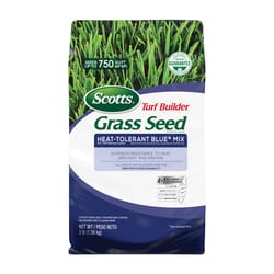 Scotts Grass Seed & Turf Builder at Ace Hardware