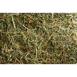Locally Sourced Grass/Alfalfa Hay Mix Bale For Horses