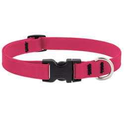 LupinePet Splash Neon Pink BioThane Dog Adjustable Collar Medium