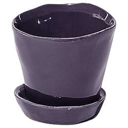 Chive Tika 3 in. D Ceramic Succulent Pot Ultra Violet