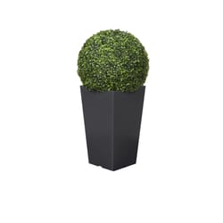 DW Silks 32 in. H X 16 in. W X 16 in. L Green Polyester Boxwood Ball in Black Planter