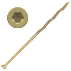 Screw Products EPIC No. 9 X 5 in. L Star Coated Deep Trim Screws 250 pk