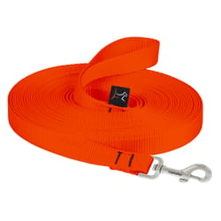 LupinePet Basic Solids Blaze Orange Blaze Orange Nylon Dog Training Leash