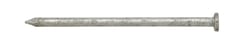 Ace 16D 3-1/2 in. Common Hot-Dipped Galvanized Steel Nail Flat Head 5 lb