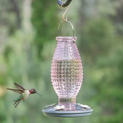 Perky-Pet Hummingbird 16 oz Glass/Metal Nectar Feeder 4 ports