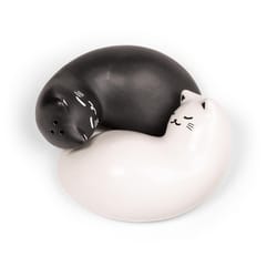 Kikkerland Black/White Ceramic Salt & Pepper Shakers