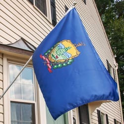 Valley Forge Vermont State Flag 36 in. H X 60 in. W