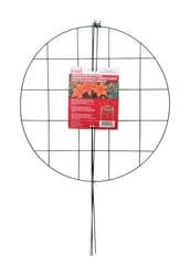 Garden Stakes & Plant Support at Ace Hardware