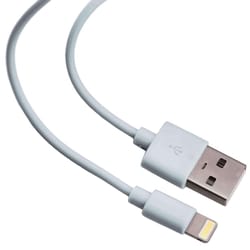 Blazing Voltz Lightning to USB Cable 9 ft. Assorted