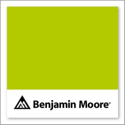 Benjamin Moore Bright Lime 2025-10