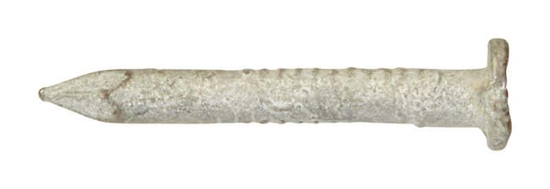 Ace 1-1/2 in. Joist Hanger Hot-Dipped Galvanized Steel Nail Round Head 1 lb Ace 1-1/2 in. Joist Hanger Hot-Dipped Galvanized Steel Nail Round Head 1 lb