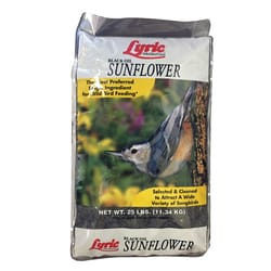 Lyric Assorted Species Black Oil Sunflower Seed Wild Bird Food 25 lb
