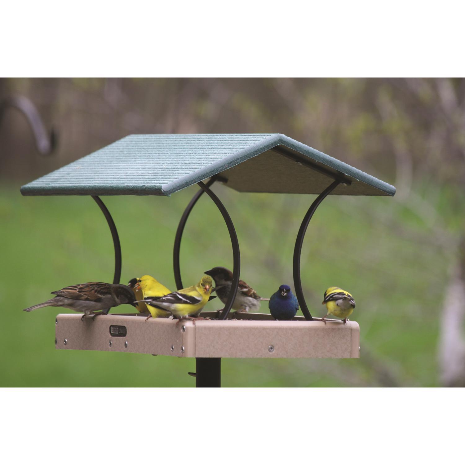 Birds Choice Wild Bird 8 lb Plastic Fly Thru Bird Feeder Mfr