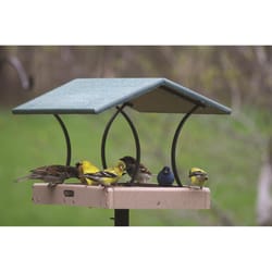 Birds Choice Wild Bird 8 lb Plastic Fly Thru Bird Feeder