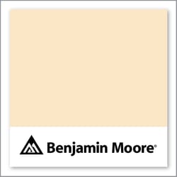 Benjamin Moore Soft Beige 2156-60