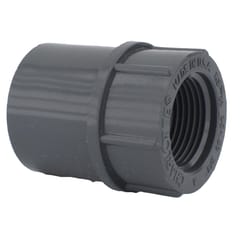 Charlotte Pipe Schedule 80 3/4 in. Slip X 3/4 in. D FPT PVC Pipe Adapter 1 pk