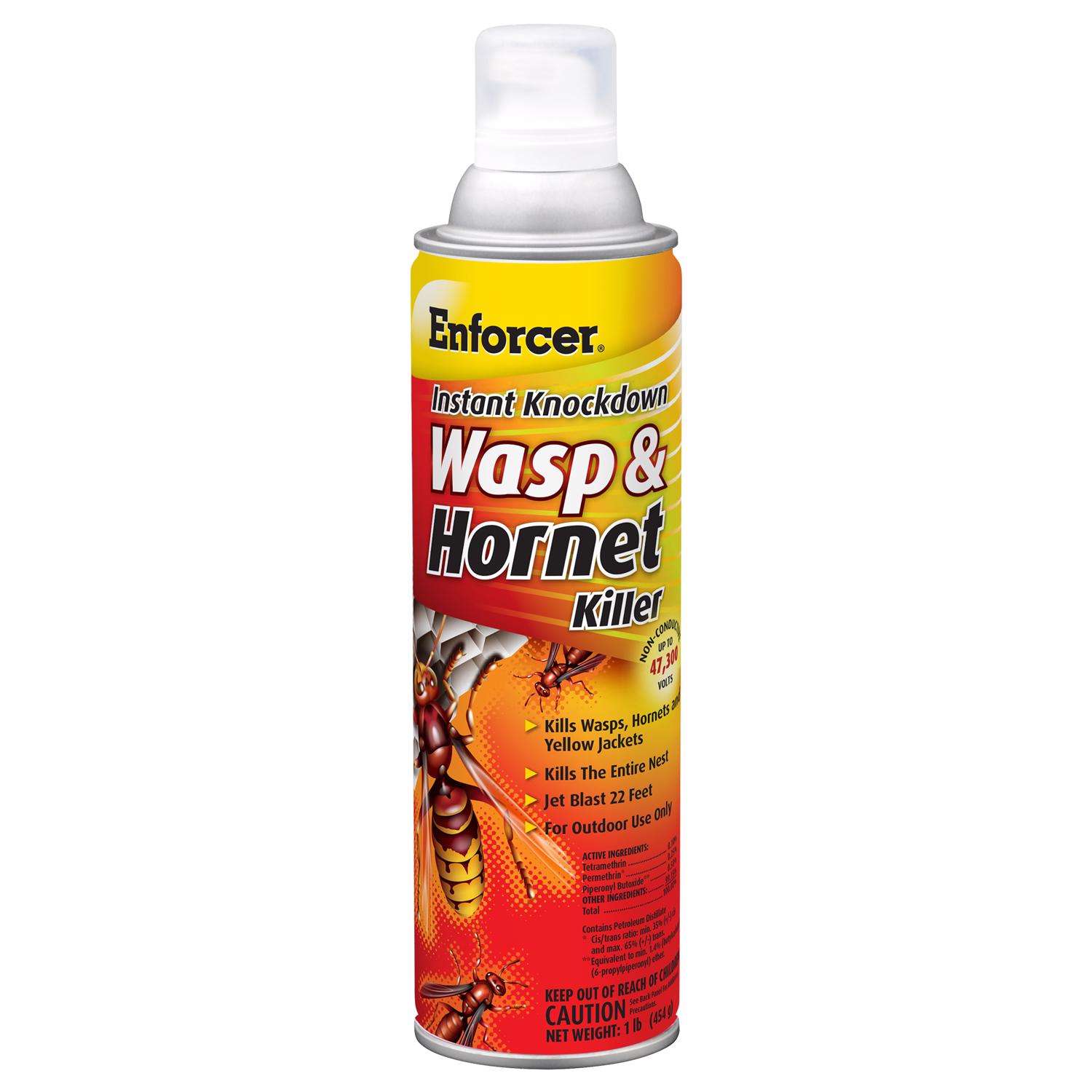 Enforcer Instant Knockdown Wasp and Killer Liquid 16 oz Ace