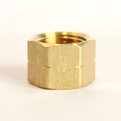 ATC 1/2 in. FPT Brass Cap