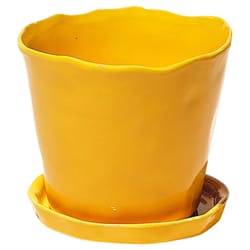 Chive Tika 5 in. D Ceramic Flower Pot Meadowlark Yellow