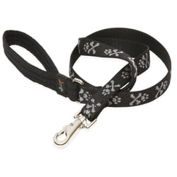 Lupine Pet Original Designs Multicolor Bling Bonz Nylon Dog Leash