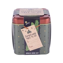Buzzy Festive Grow Tins Mint and Spruce Grow Kit 1 pc