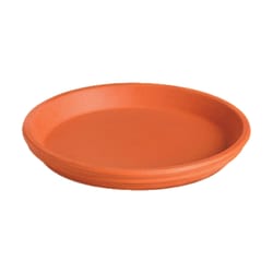 Deroma 1 in. H X 7.5 in. D Clay Traditional Plant Saucer Terracotta