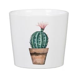 Scheurich Garden 4.25 in. D Ceramic Cactus Flower Pot Multicolored