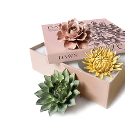 Chive Ceramic Flowers 2.9 in. H X 9.9 in. L Glazed Assorted Ceramic Dawn Box Set