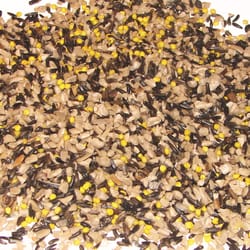 Wild Delight Golden Finch Finches Sunflower Kernels Wild Bird Food 5 lb