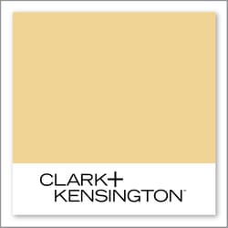 Clark+Kensington Corn Meal 20B-4