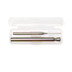 Kikkerland Stainless Steel Telescoping Straws