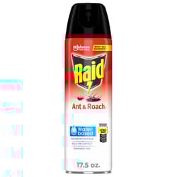 Raid Ant and Roach Killer Spray 17.5 oz