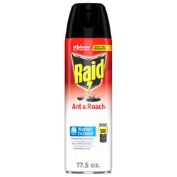 Raid Ant and Roach Killer Spray 17.5 oz