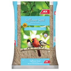 Ace Songbird Safflower Seeds Wild Bird Food 10 lb