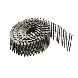 Bostitch 1-1/4 in. L X 11 Ga. Angled Coil Stainless Steel Nails 15 deg 3600 pk