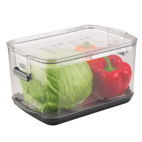 Rubbermaid FreshWorks 18.1 cups Clear Produce Keeper 1 pk - Ace Hardware