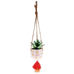 Karma 2 in. H X 3 in. W X 2 in. L Multicolored Ceramic Hanging Succulent Pot