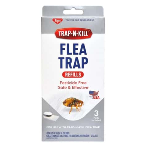 Enoz TrapNKill Window Fly Trap (4-Pack)
