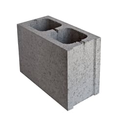 Locally Sourced Concrete Block 12 in. H