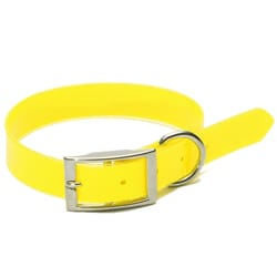 PDQ Yellow Poly Dog Hunting Dog Collar Large/X-Large