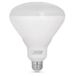 Feit R40 E26 (Medium) LED Bulb Daylight 300 Watt Equivalence 1 pk