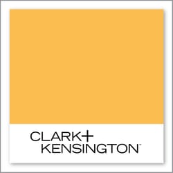 Clark+Kensington Illuminated Orange 16D-4