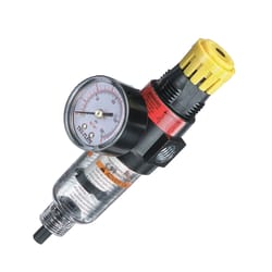 Tru-Flate Plastic Filter and Regulator with Gauge 1/4 in. NPT 150 psi 1 pc