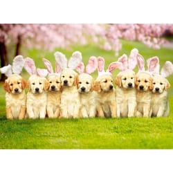 Avanti Seasonal Row Of Puppy Bunnies Dog Easter Card Paper 2 pc