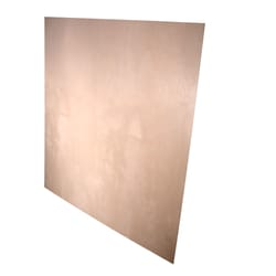 Alexandria Moulding 4 in. W X 4 in. L X 0.25 in. Plywood