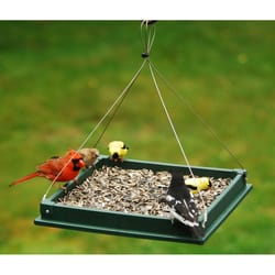 Songbird Essentials Songbird Plastic/Screen Hanging Platform Bird Feeder