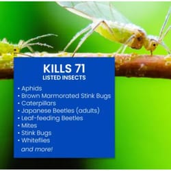 BioAdvanced Complete Insect Killer for Soil & Turf Liquid 32 oz