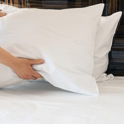 Monarch Brands Jumbo Pillow Cotton 10 pk